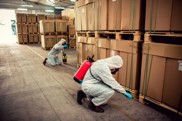Best Pest Control Near Me  in Gresham, OR