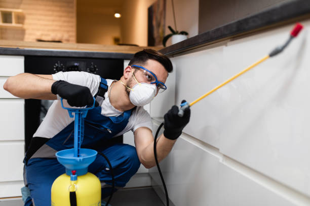 Best Pest Inspection Near Me  in Gresham, OR