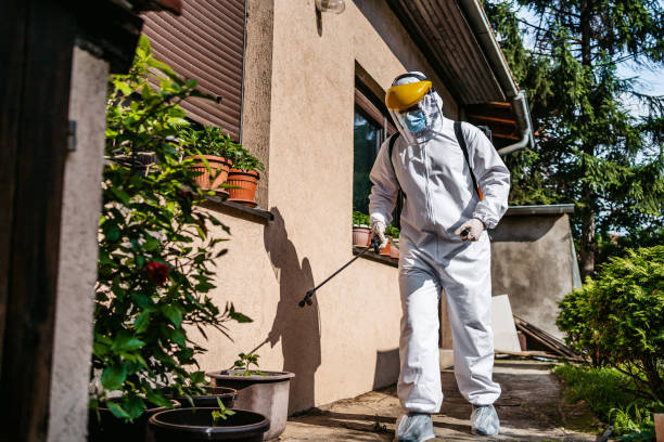 Best Rodent Control Near Me  in Gresham, OR