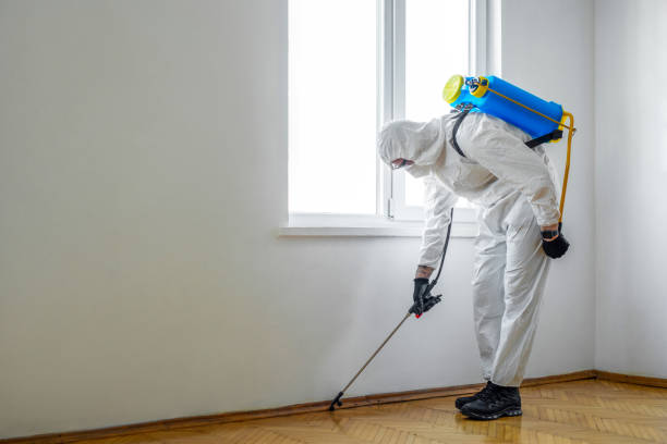 Best Best Pest Control Companies  in Gresham, OR