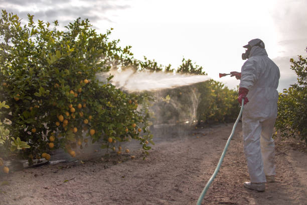 Best Ant Control Services  in Gresham, OR