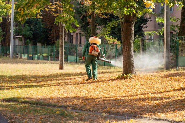 Best Wasp Removal Services  in Gresham, OR