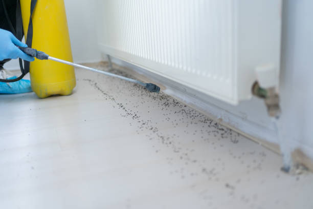 Best Best Pest Control Companies  in Gresham, OR